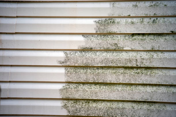 Best Carpet Removal and Disposal  in Flanders, NY